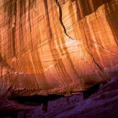 38位のイメージ