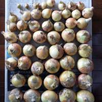 86位のイメージ