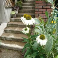 593位のイメージ