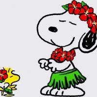 18位のイメージ