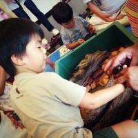 38位のイメージ