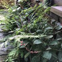 43位のイメージ