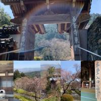 82位のイメージ