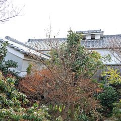 1225位のイメージ