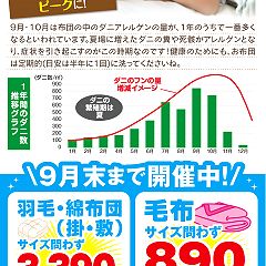 709位のイメージ