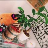 16位のイメージ