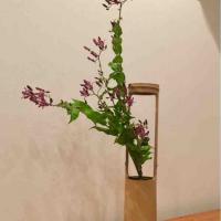 1621位のイメージ