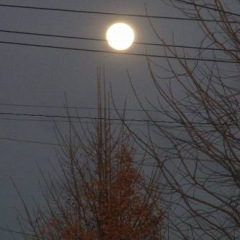 14位のイメージ