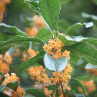 14位のイメージ