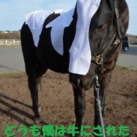 92位のイメージ