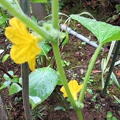 3236位のイメージ