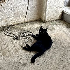 33位のイメージ