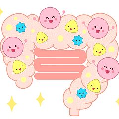 181位のイメージ