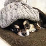 26位のイメージ