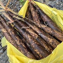 98位のイメージ