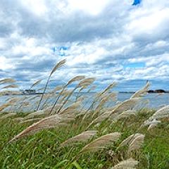 25位のイメージ