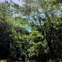 21位のイメージ