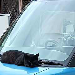 49位のイメージ