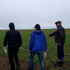 11位のイメージ