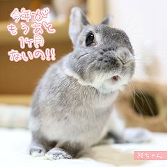 22位のイメージ