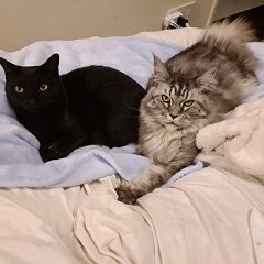 28位のイメージ