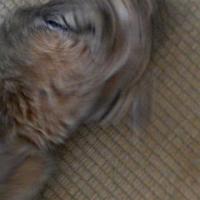 19位のイメージ