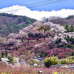 62位のイメージ