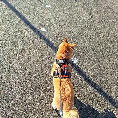 67位のイメージ