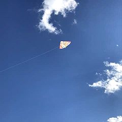 65位のイメージ