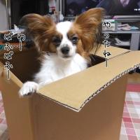 22位のイメージ