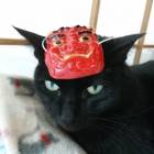 409位のイメージ