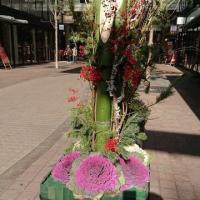 28位のイメージ