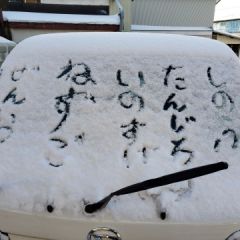 52位のイメージ