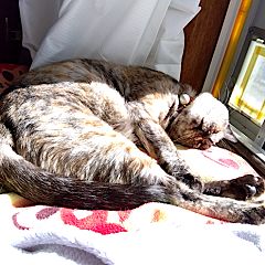 36位のイメージ