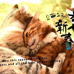 37位のイメージ