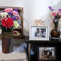 29位のイメージ