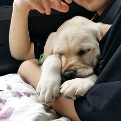 29位のイメージ