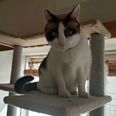 91位のイメージ