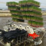 16位のイメージ