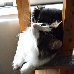 88位のイメージ