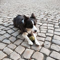 168位のイメージ