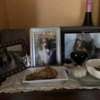 10位のイメージ