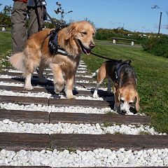 17位のイメージ