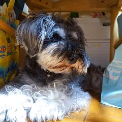 145位のイメージ