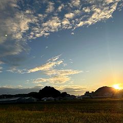 11位のイメージ