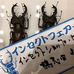 80位のイメージ