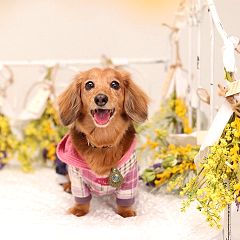 37位のイメージ