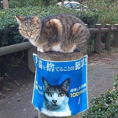 27位のイメージ