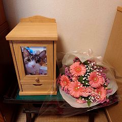 95位のイメージ