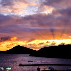 257位のイメージ